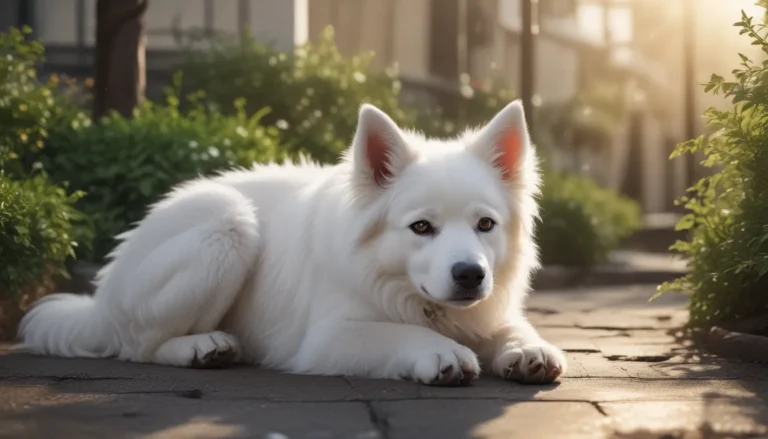 Unlocking the Meaning of Dreaming About a White Dog